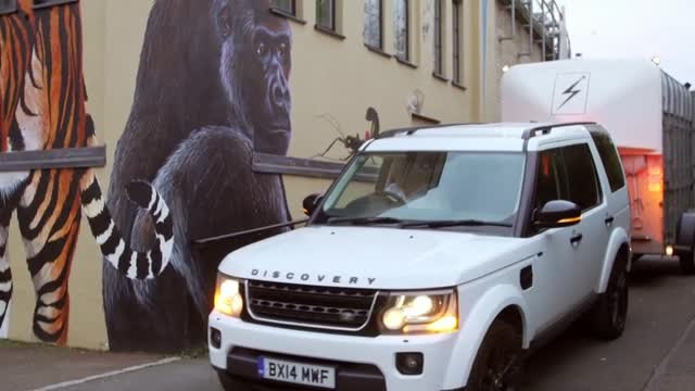 Un viaje de Tenerife a Londres para tener hijos