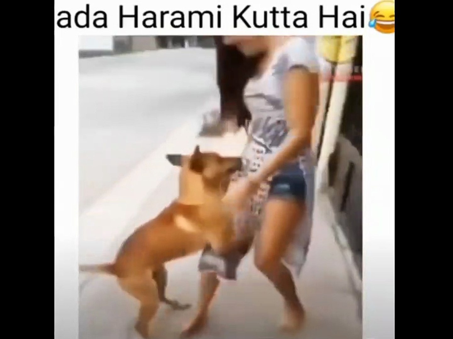 bada harami kutta hai comedy video