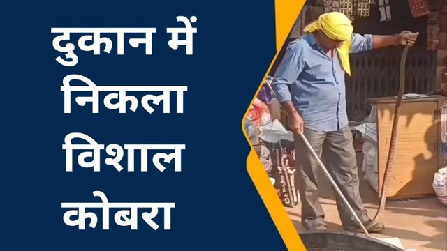 देवरिया: दुकान में निकला विशाल जहरीला सर्प, रेस्क्यू देख खड़े हो जाएंगे रोंगटे
