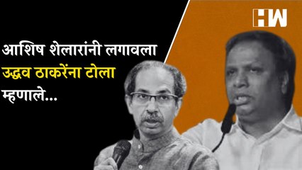 आशिष शेलारांनी लगावला उद्धव ठाकरेंना टोला म्हणाले...
