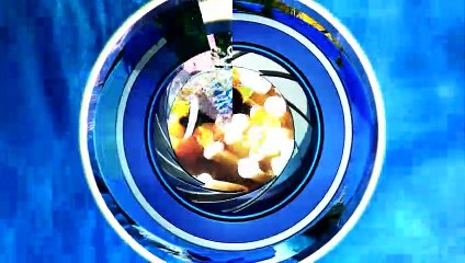 Disminuyen ejemplares de delfines