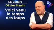 Zoom - Olivier Maulin : Voici venu le temps des loups