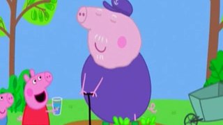 Peppa Pig S04E29 Perfume