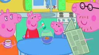 Peppa Pig S04E31 The Aquarium