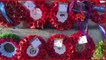 Roll of Honour to war dead unveiled on Southwick Village Green