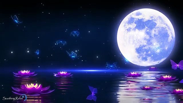 Détente et Relaxation Musique Pour Dormir en 5 Minutes Musique pour Trouver le Sommeil Réparateur