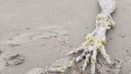 Sahilde yürüyen çift, kumdan fırlayan esrarengiz parmakları görünce dehşete düştü