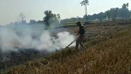 महराजगंज: पराली में लगा दी आग, पुलिसकर्मी ने डंडों से बुझाई आग, वीडियो वायरल