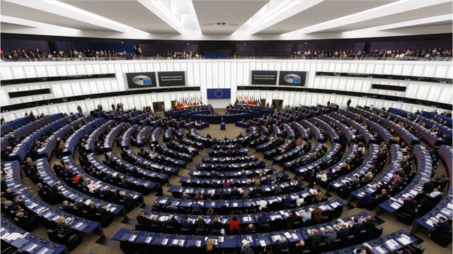 The Symbolic Protest against Members of the European Parliament who have aligned with Russia