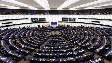 The Symbolic Protest against Members of the European Parliament who have aligned with Russia