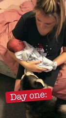 They Are Best Friends