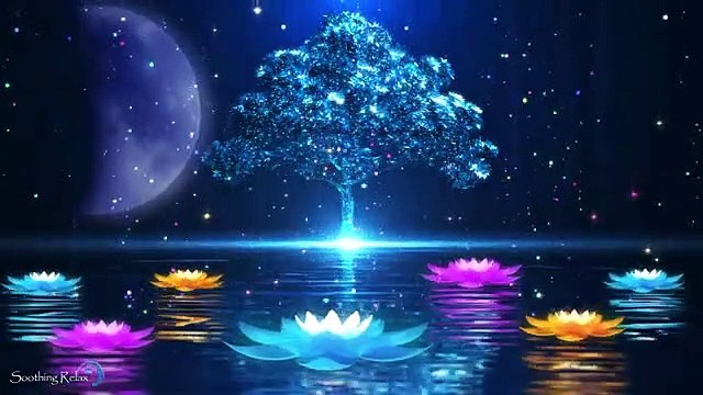 Musique Pour Dormir en 5 Minutes Bien Dormir Musique pour Trouver le Sommeil Réparateur