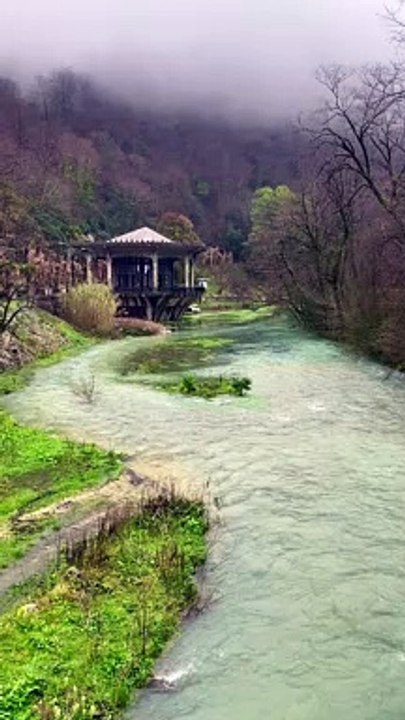 Pavilion