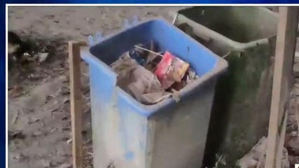 किशनगंज: पंचायत में लगाए गए डस्टबिन बनी है शोभा की वस्तु