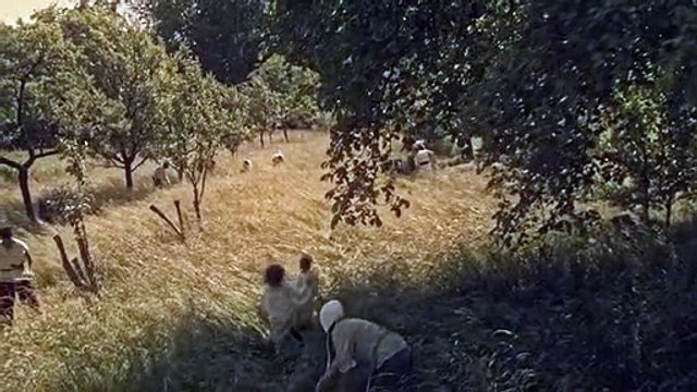 Edahlion, le royaume orphelin Teaser VF