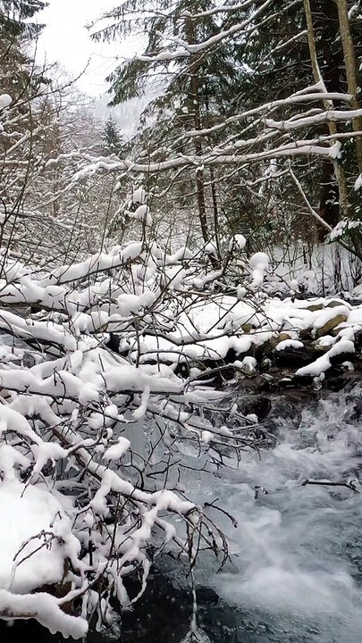 Cold River