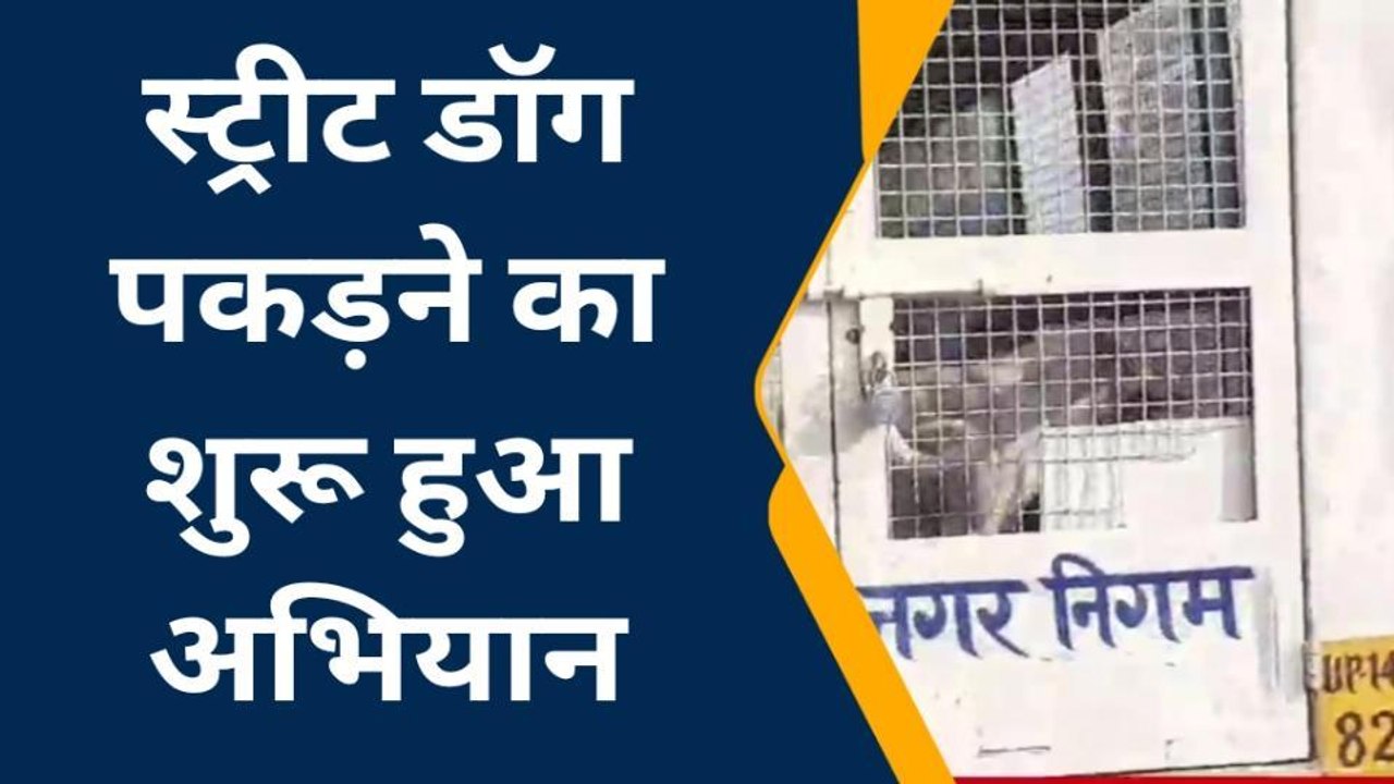 गाजियाबाद: कुत्तों के आतंक के बाद खुली नगर निगम की आँख, चलाया अभियान