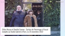 Mort foudroyante de Pascal Josèphe : Mireille Dumas, Nagui, Emmanuel Chain... réunis dans l'émotion