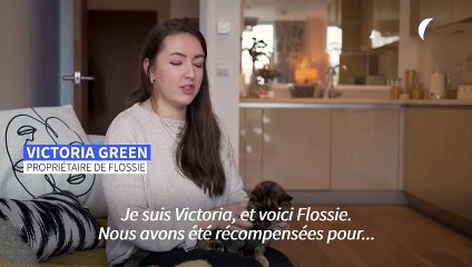 À 26 ans, Flossie obtient le titre Guinness du "plus vieux chat au monde"