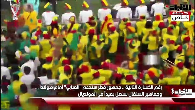 رغم الخسارة الثانية.. جمهور قطر سندعم العنابي أمام هولندا.. وجماهير السنغال سنصل بعيداً في المونديال