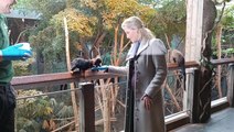 Sophie, Countess of Wessex, feeds monkeys at London Zoo