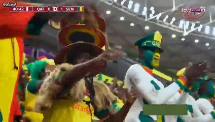 Qatar VS Senegal 1-3 | اهداف مباراة قطر ضد السنغال 1-3