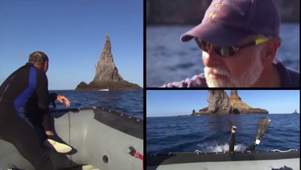 Blue Realm - Giant Manta Rays of San Benedicto