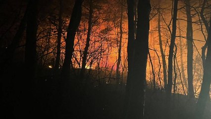 강릉에선 산불로 한때 '대응 2단계'...2시간 만에 진화 / YTN