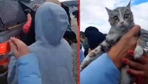 Köpeklerin ardından bu kez de kediler! Konya'daki barınakta 2. skandal