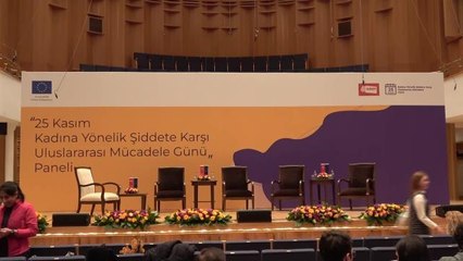 Nıkolaus Meyer-Landrut: Türkiye'de Yasaların Koruduğu ile İstanbul Sözleşmesi'nin Korumaya Çalıştıkları Arasında Farklılıklar Var