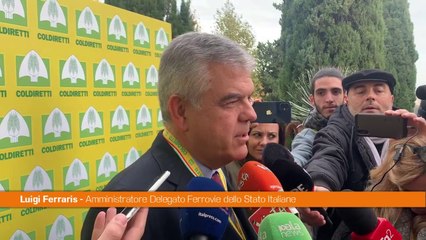 Fs, Ferraris "40% consumo di energia autoprodotta in 5 anni"