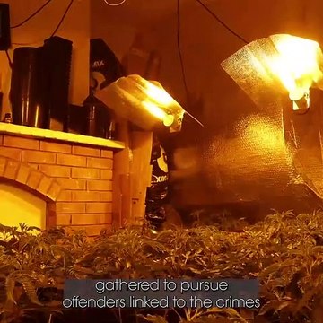 Drugs seized after coordinated police raids