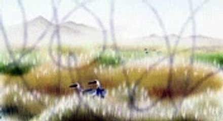 Piro Piro Bande-annonce VO (2023) Sung-ah Min, Miyoung Baek