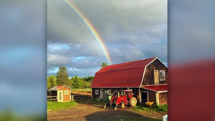 25 nov TOPO PG suivi incendie