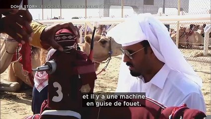 Doha Story (Episode 4) : Les courses de dromadaires