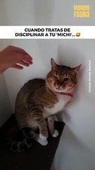 A mí nadie me dice cómo debo comportarme...