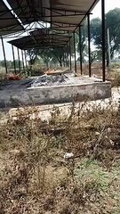 पीहरवालों के आने से पहले ही कर दिया ससुराल वालों ने अंतिम संस्कार