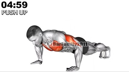 The At Home Push Up Workout To Build Your Arms Chest
