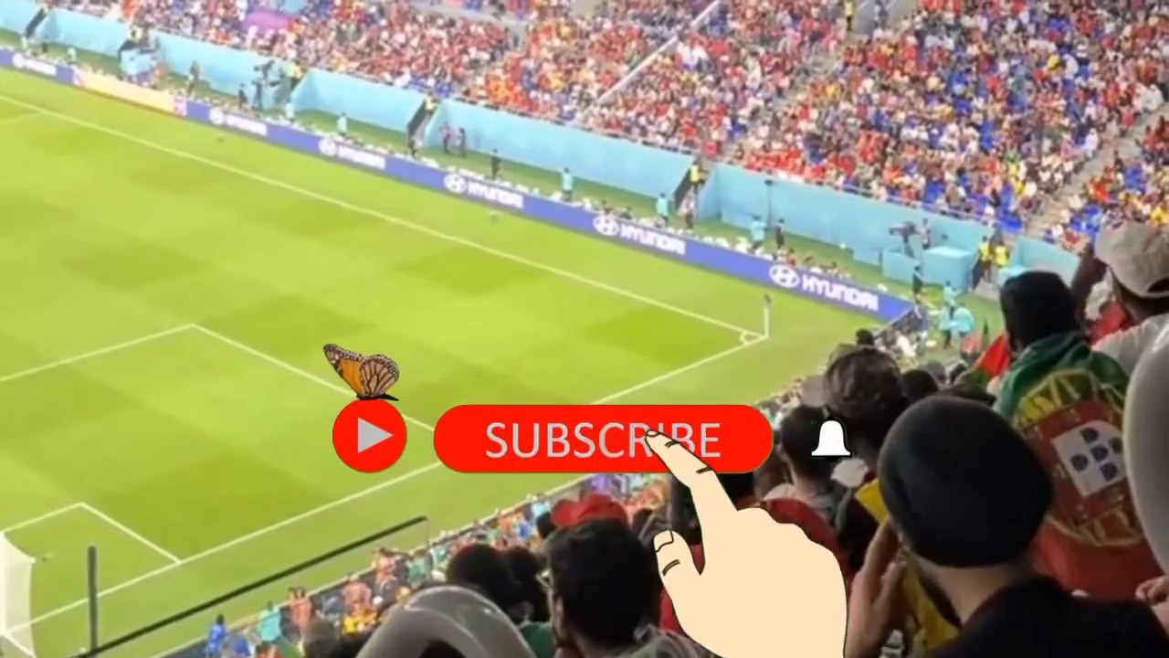 Qatar vs Senegal 1 - 3 Highlight Momen Goal Live