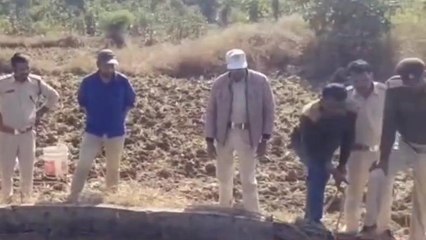 बरघाट: कुएं में गिरा तेंदुआ, रेस्क्यू के दौरान मौत