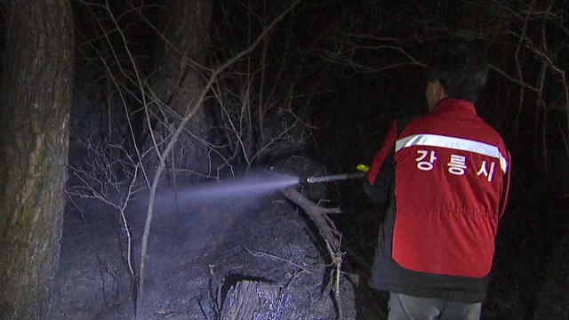 밤사이 산불 잇따라...전북 완주 산불 16시간 만에 진화 / YTN