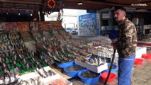 الثروة السميكة في مضيق البوسفور ضحية الصيد المفرط والتلوث