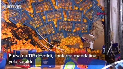 Bursa'da TIR devrildi, tonlarca mandalina yola saçıldı