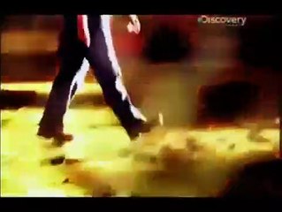 MS13 - Le Gang Qui Terrorise l'Amérique