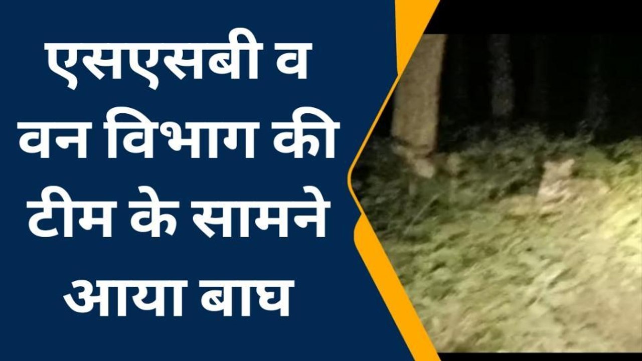 बहराइच: वन विभाग की टीम के सामने आया बाघ, देखिए पूरी खबर