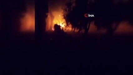 Bursa'da çiftlik alevlere teslim oldu