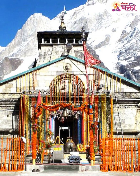 तुमच्या दारात ब्रह्मकमळ आहे का? मग हे ऐकाच!