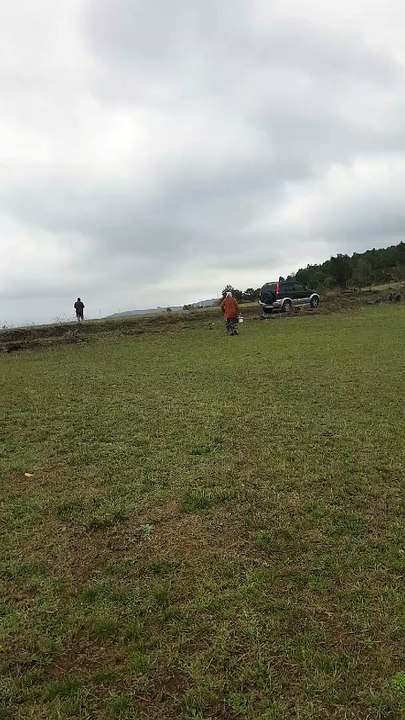 Ketemu jamur di ladang yang luas