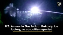 WB: Ammonia Gas leak at Kakdwip ice factory, no casualties reported