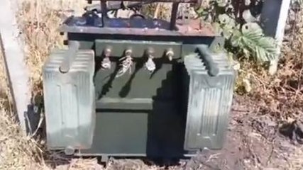 रायसेन: आदिवासी किसान परेशान, बिजली ट्रांसफार्मर जलने से सूख रही फसल